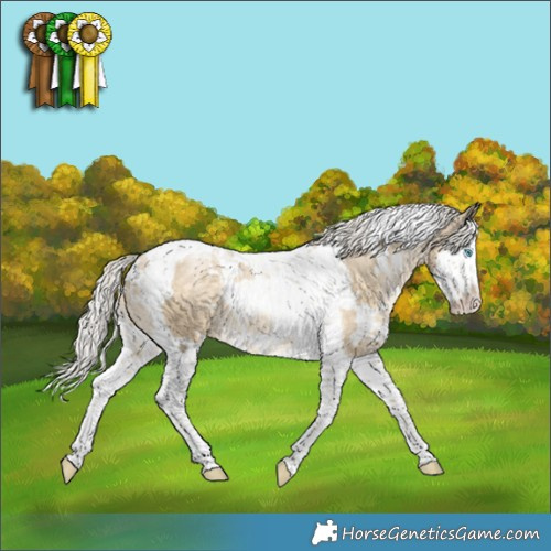 Horse Color:White Spotted Silver Buckskin Pearl Dun Splash Tobiano 