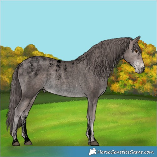 Horse Color:Powder White Void Platinum Brown Roan Pearl Rabicano 