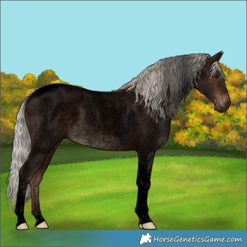 Horse Color:Void Silver Brown Roan Tobiano 