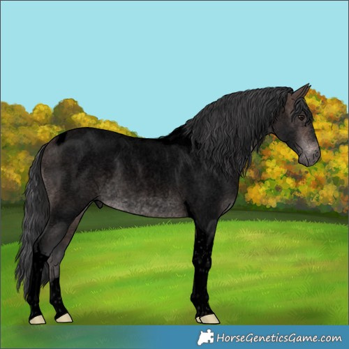 Horse Color:Void Platinum Bay Roan Tobiano 
