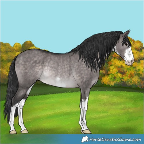 Horse Color:Platinum White Spotted Brown Dun Rabicano 