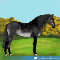 Horse Color:Void Platinum White Spotted Brown Tobiano Rabicano 