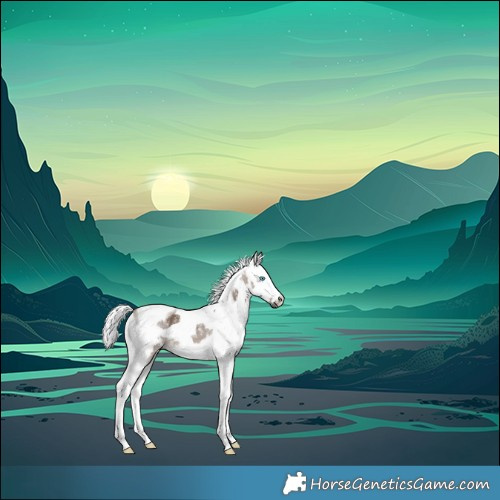 Horse Color:Powder White Brown Dun Merle Tobiano 