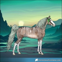 Horse Color:Powder White White Spotted Silver Brown Dun Merle Splash Rabicano Brindle
