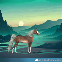 Horse Color:White Spotted Bay Merle Splash Rabicano 