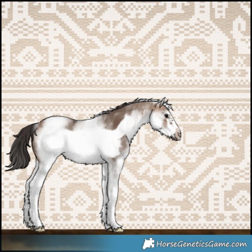 Horse Color:White Spotted Bay Dun Frame 