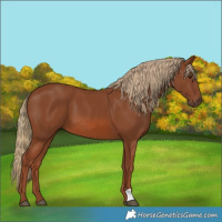 Horse Color:Chestnut 