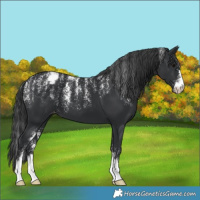Horse Color:Powder White Black Varnish 