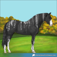 Horse Color:Powder White Black Varnish 