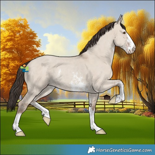 Horse Color:Classic Champagne Dun Sabino Rabicano 