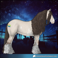 Horse Color:Classic Champagne Dun Sabino Rabicano