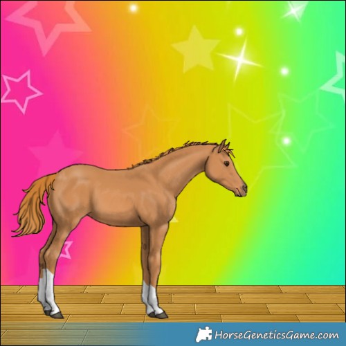 Horse Color:Chestnut Tobiano