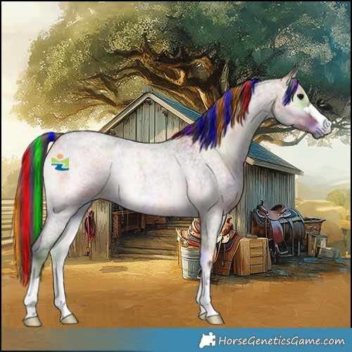 Horse Color:Painted Nacre Bay Roan Onyx 