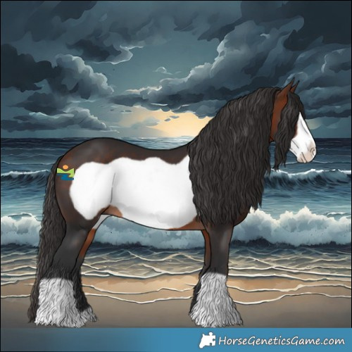 Horse Color:Bay Frame 