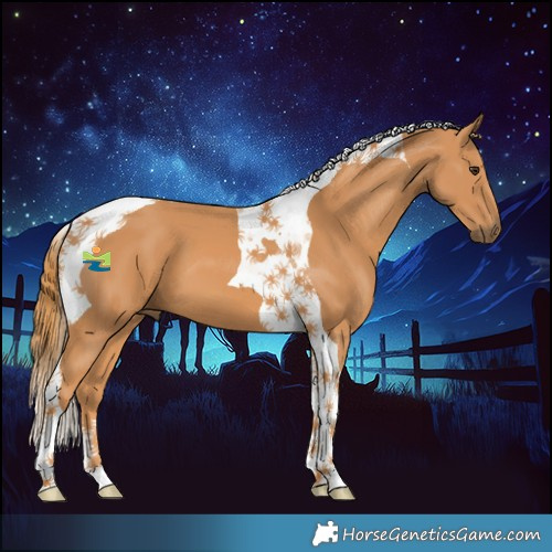 Horse Color:Chestnut Tobiano 