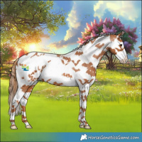 Horse Color:Chestnut Sabino Splash Tobiano Blanket 