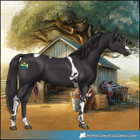Horse Color:Smoky Black Tobiano