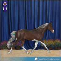Horse Color:Silver Brown Tobiano