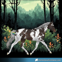 Horse Color:White Spotted Silver Brown Tobiano 
