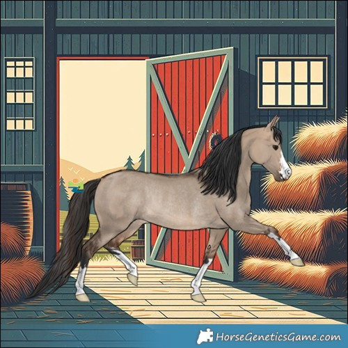Horse Color:Bay Dun Rabicano 
