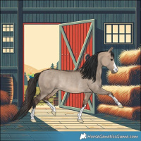 Horse Color:Bay Dun Rabicano 
