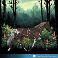 Horse Color:White Spotted Silver Bay 