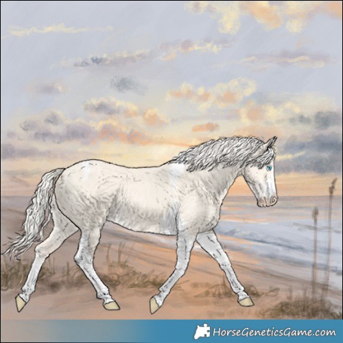 Horse Color:Cremello Dun Tobiano 