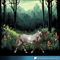 Horse Color:White Spotted Liver Chestnut 