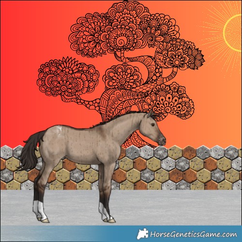 Horse Color:Liver Red Dun Appaloosa Brindle 