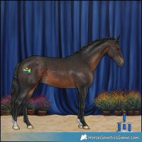 Horse Color:Brown 