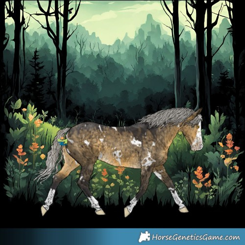 Horse Color:White Spotted Silver Buckskin Dun Splash Rabicano Brindle 