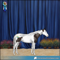 Horse Color:Silver Brown Splash Tobiano