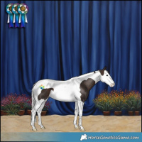 Horse Color:Silver Brown Splash Tobiano