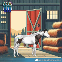 Horse Color:Silver Brown Splash Tobiano