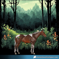 Horse Color:Silver Brown Tobiano 