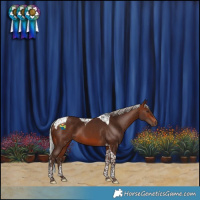 Horse Color:Silver Brown Tobiano