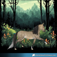 Horse Color:Buckskin Dun Rabicano 