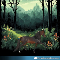 Horse Color:Bay Rabicano 