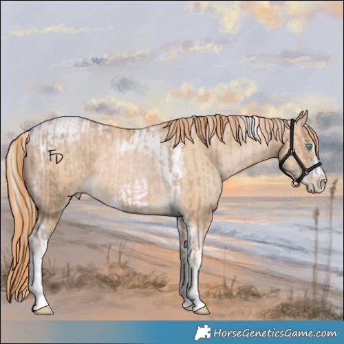 Horse Color:Chocolate Palomino Pearl Tobiano Frame and Buckskin Pearl Tobiano Frame