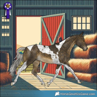 Horse Color:Silver Buckskin Tobiano 
