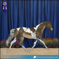 Horse Color:Silver Buckskin Tobiano