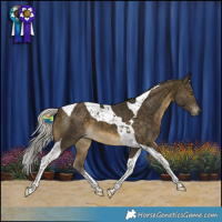Horse Color:Silver Buckskin Tobiano 