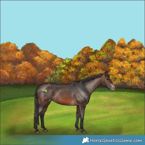 Horse Color:Brown Varnish 