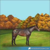 Horse Color:Brown Varnish 
