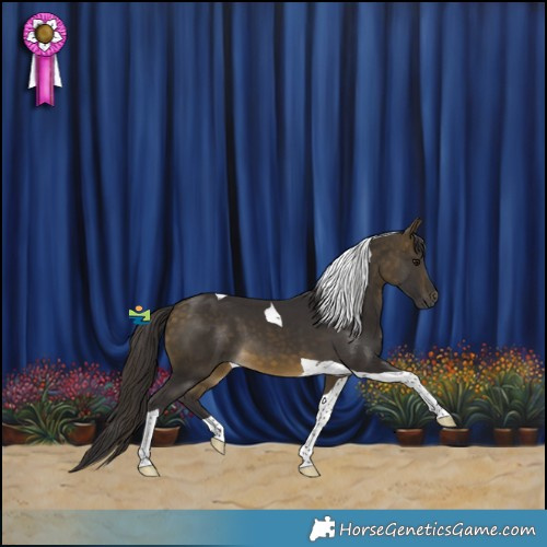 Horse Color:Buckskin Tobiano 
