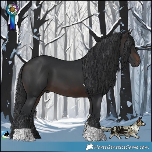 Horse Color:Brown Tobiano 
