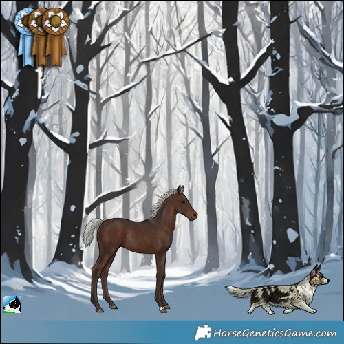 Horse Color:Silver Brown Rabicano 
