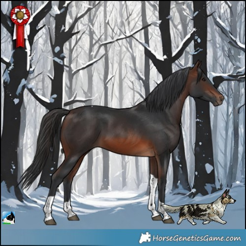 Horse Color:Brown Tobiano Rabicano 