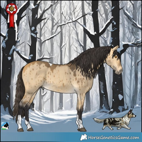 Horse Color:Buckskin Dun Tobiano Brindle 