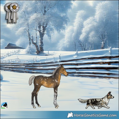 Horse Color:White Spotted Silver Buckskin Tobiano Rabicano 